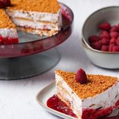 Raspberry Cheesecake Ice Cream Cake