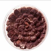 The New Chocomisu