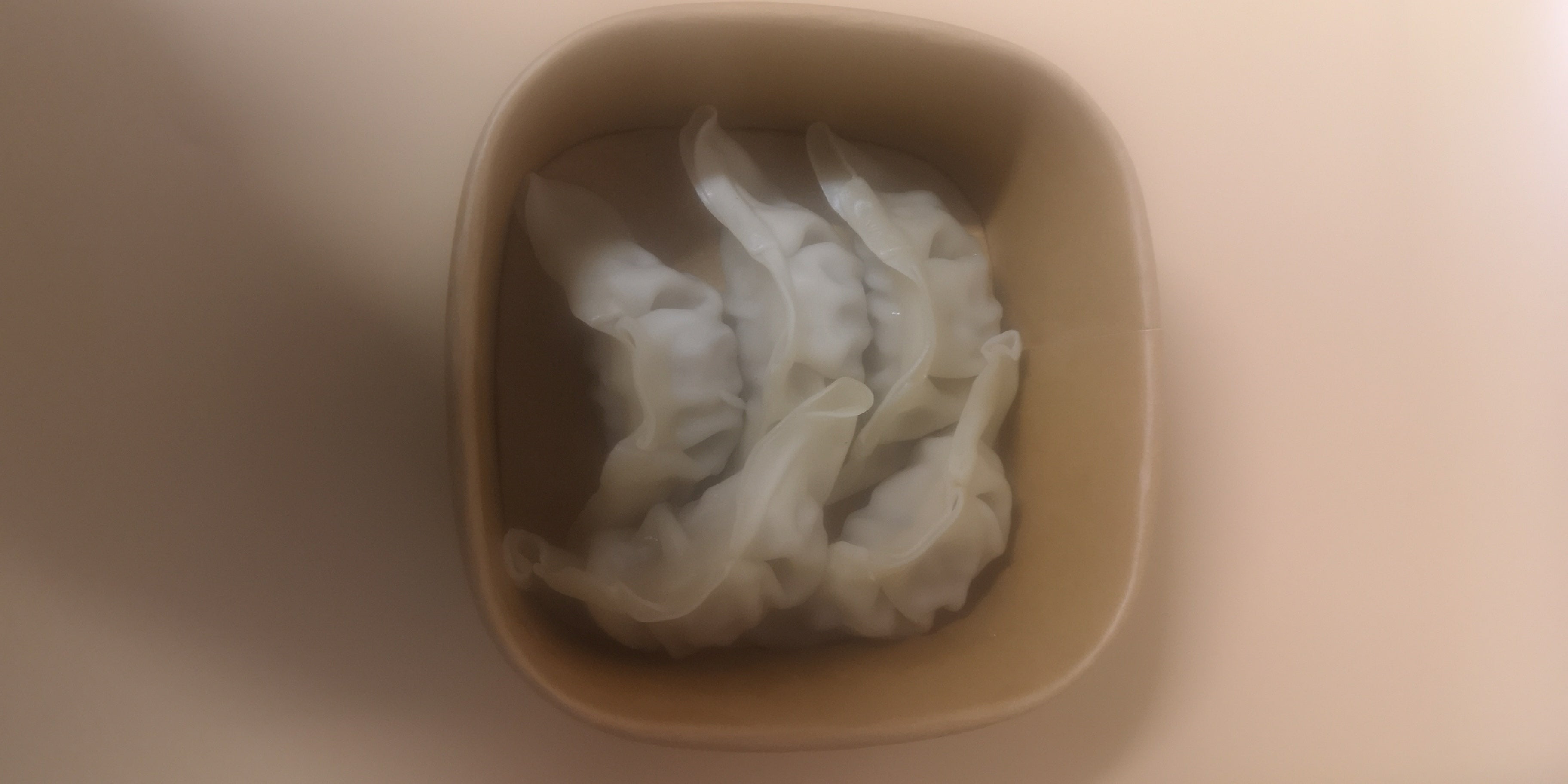 Stream Chicken dumpling 5pcs