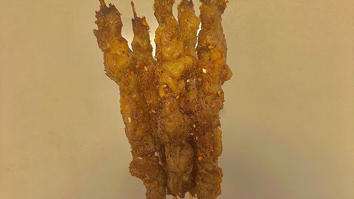 Chicken Skewers 鸡肉串