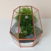 Long Geometric Terrarium