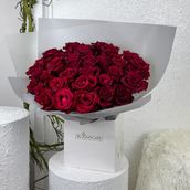 Mody Red