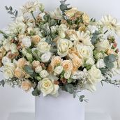 White Box In Beach And Orange Colors