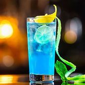 Blueberry Mojito