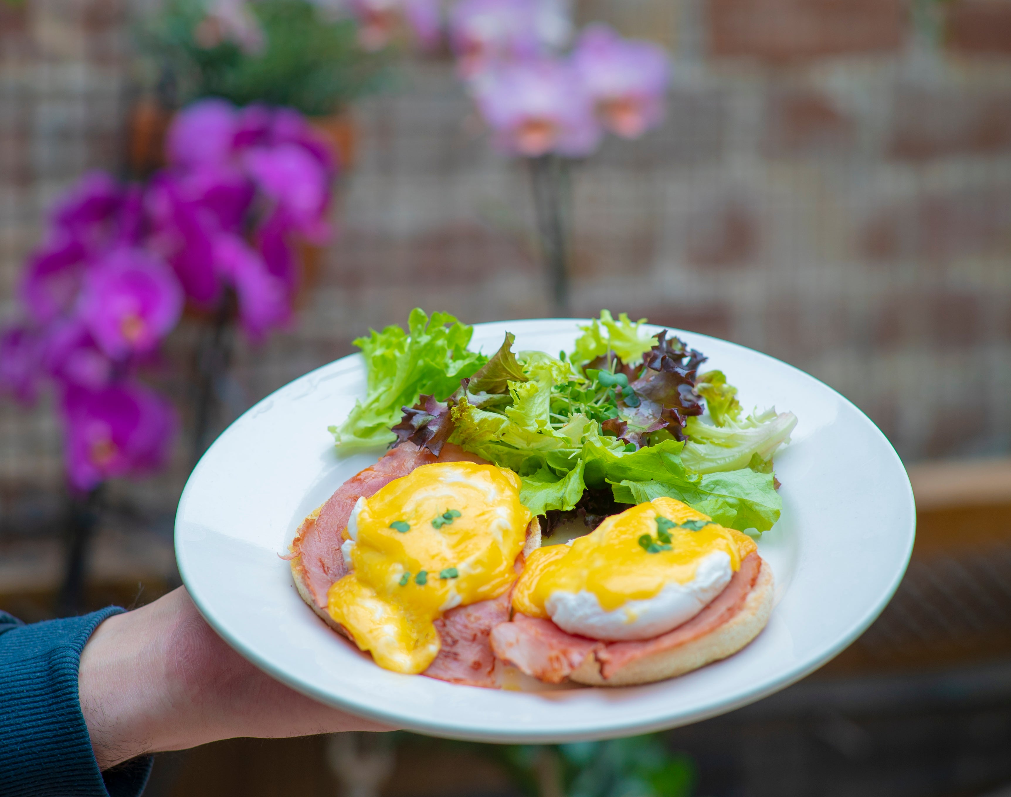 Egg's Benedict