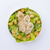 Caesar In A Bowl