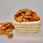 Raw Almond Spain