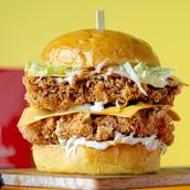 Double Crispy Chicken 