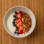 Granola Greek Yogurt With Vanilla Whey Protein
