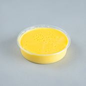 Custard Pudding