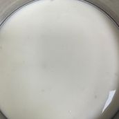 Cheese Sauce