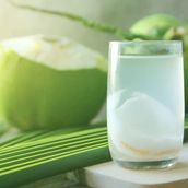 Coconut Water 