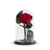Red Infinity Rose Tall Glass
