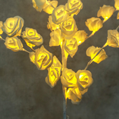 Small Luminous Tree