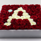 Box Arrangement 0003