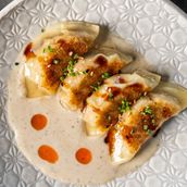 Chicken Gyoza 