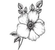 Vogue Flowers