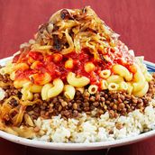 Koshari Bab Allok