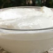 Yogurt