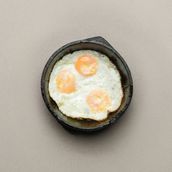 Fried Eeg 