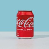 Coca Cola Can 300ml