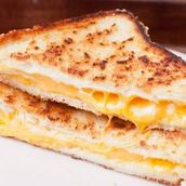Cheese Sandwich