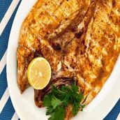 Grilled Hammour Fillet