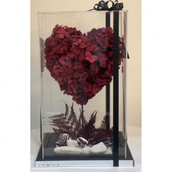 Love Passion Maroon
