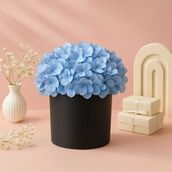 Hydrangea Charm Box - Extra Small