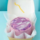 Bento Purple