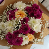 Chrysanthemum Love Rose