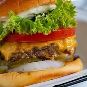 IBS Classic Burger 