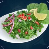 Rocket Salad