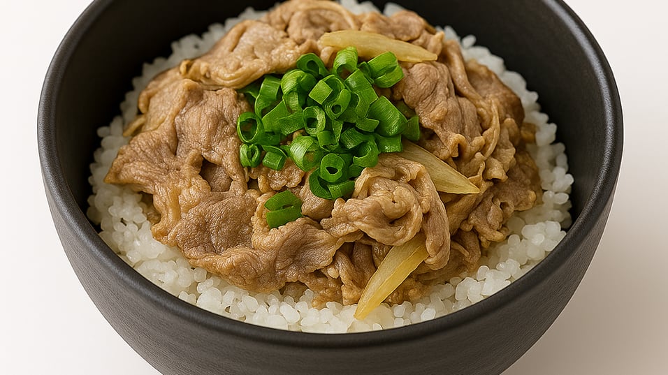 SHORI Classic Beef Bowl