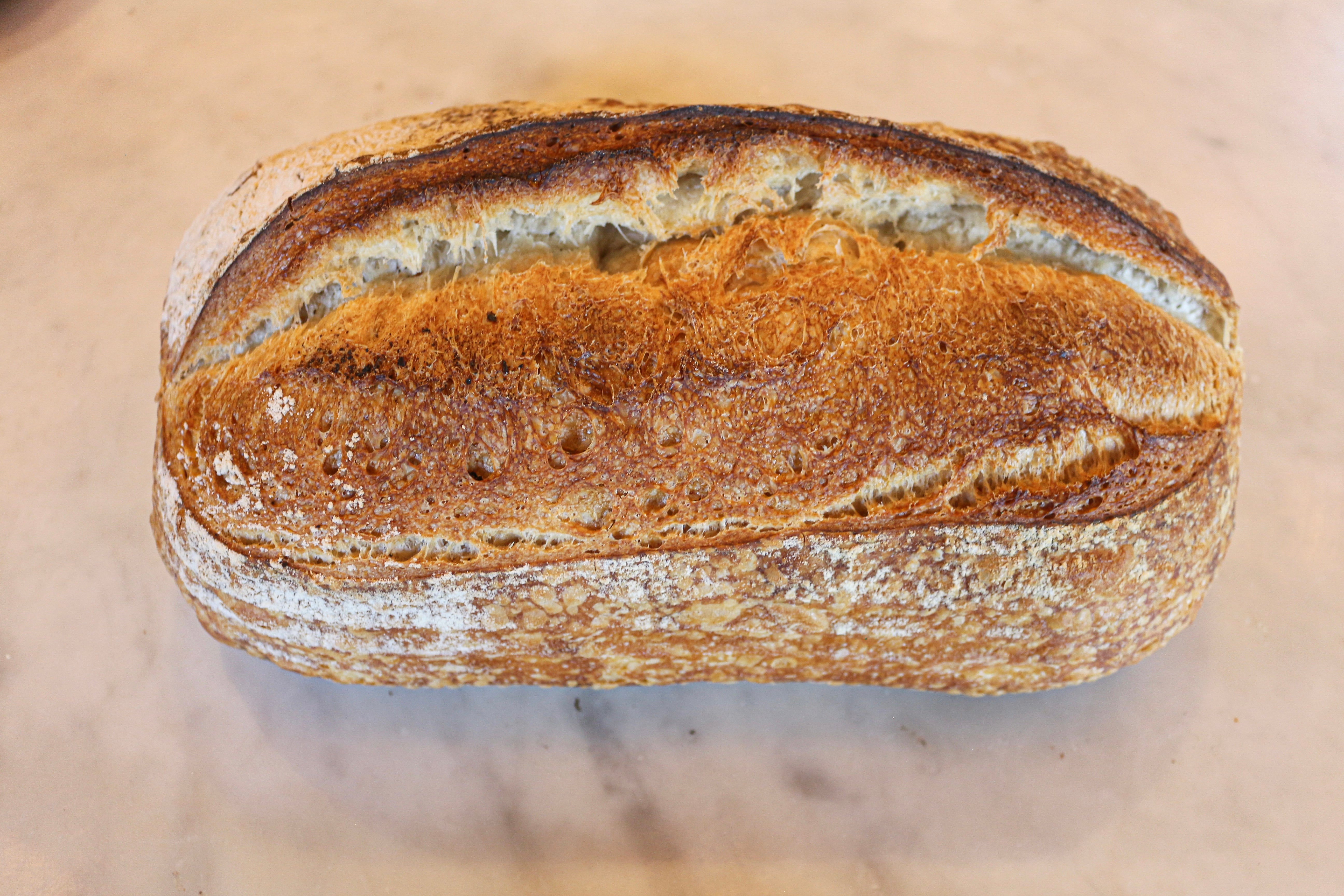 Large sourdough