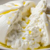 Classic Burrata