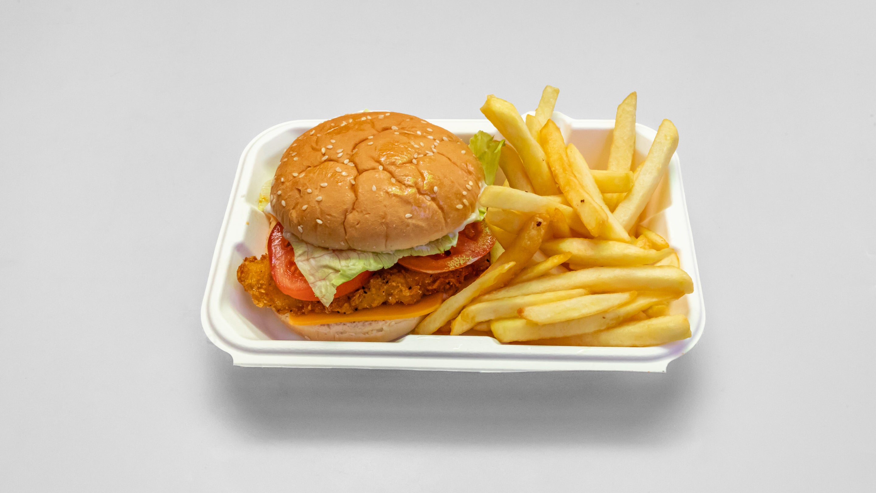 Southern Fried Chicken Burger