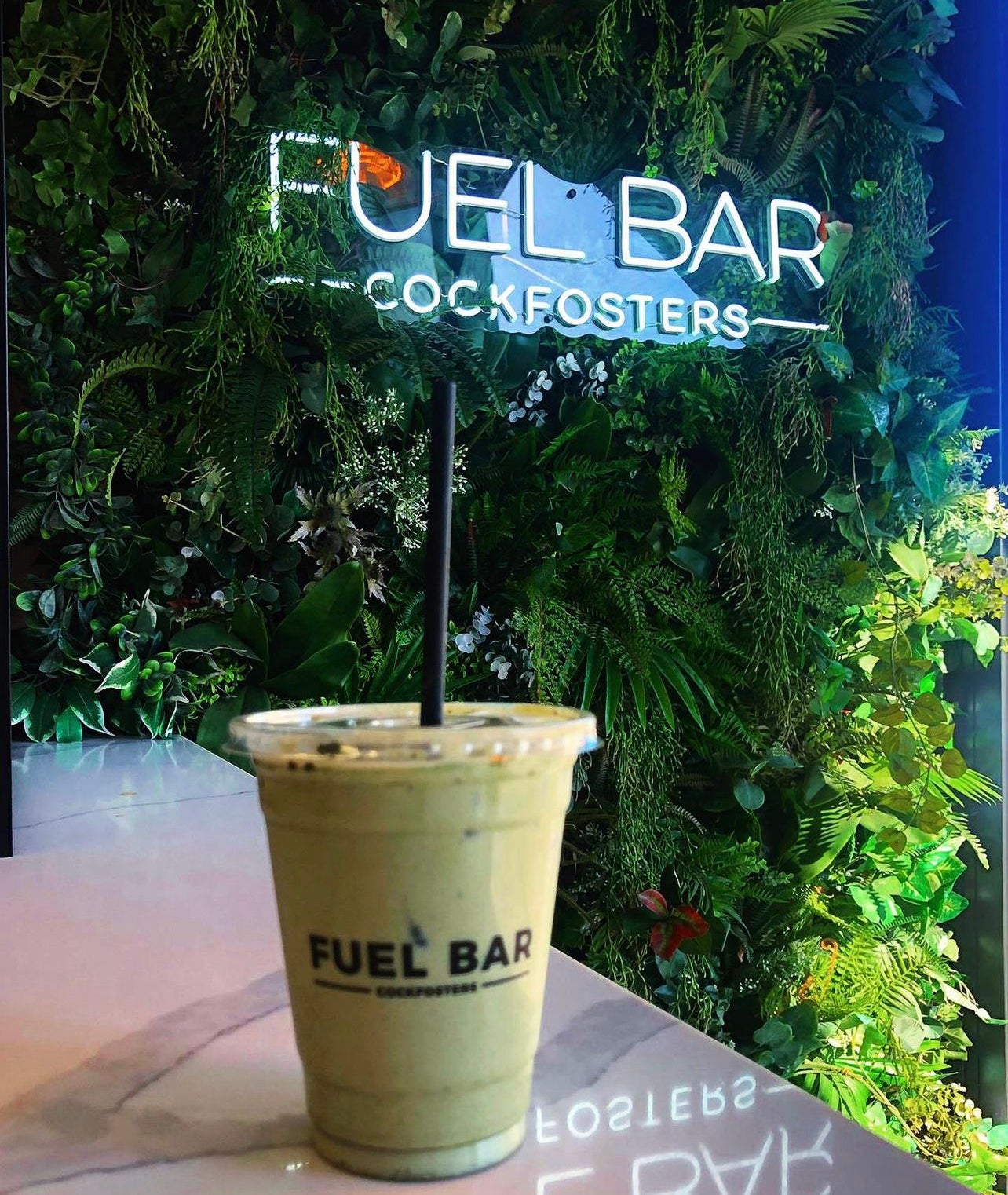 Iced Matcha Latte