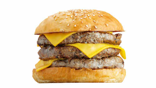 Mega Burger
