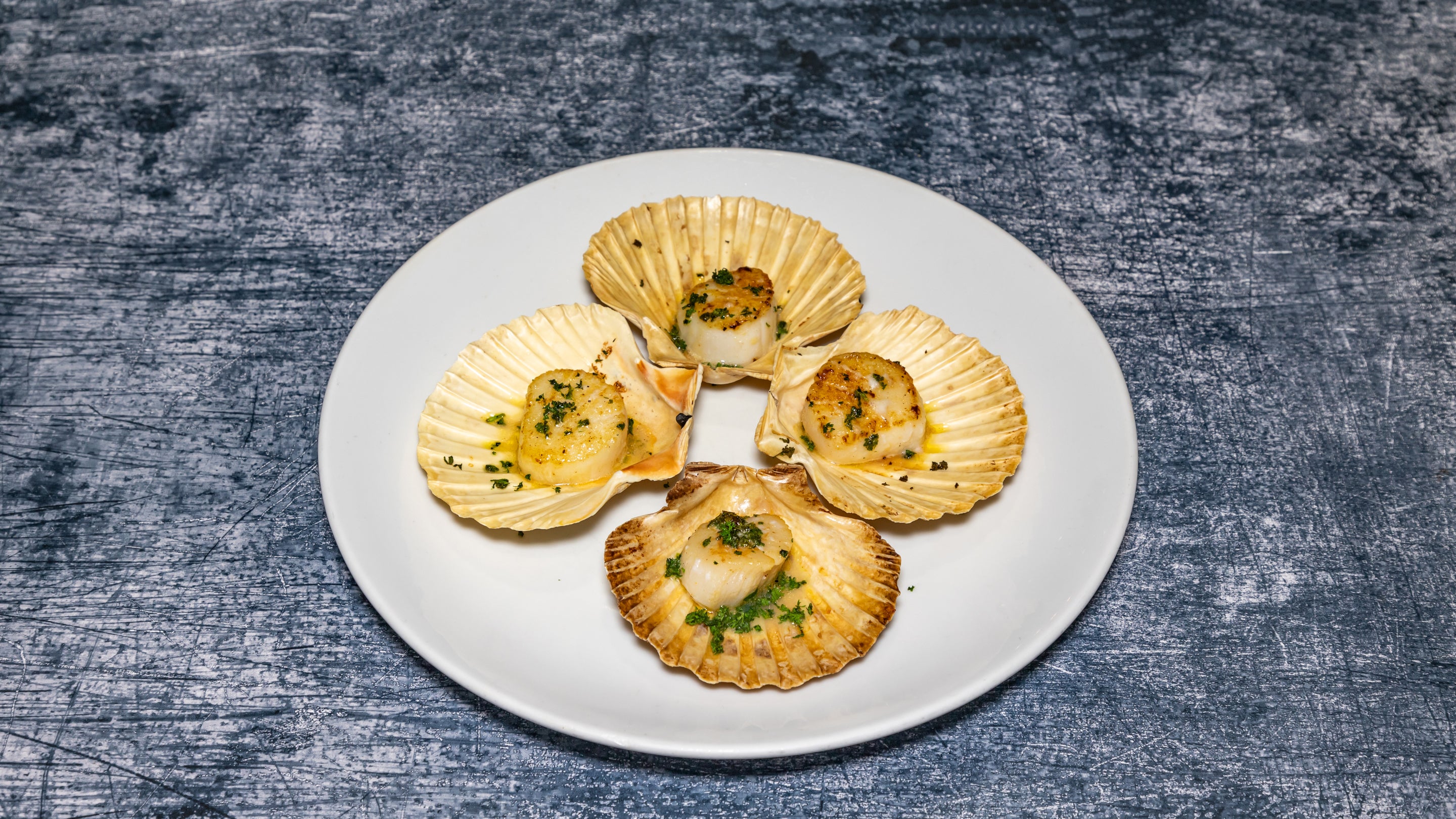 Fresh Diver Scallops