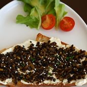Mushroom & Cheese Sandwich