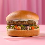 New Falafel Bun
