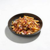 SS Special Fries