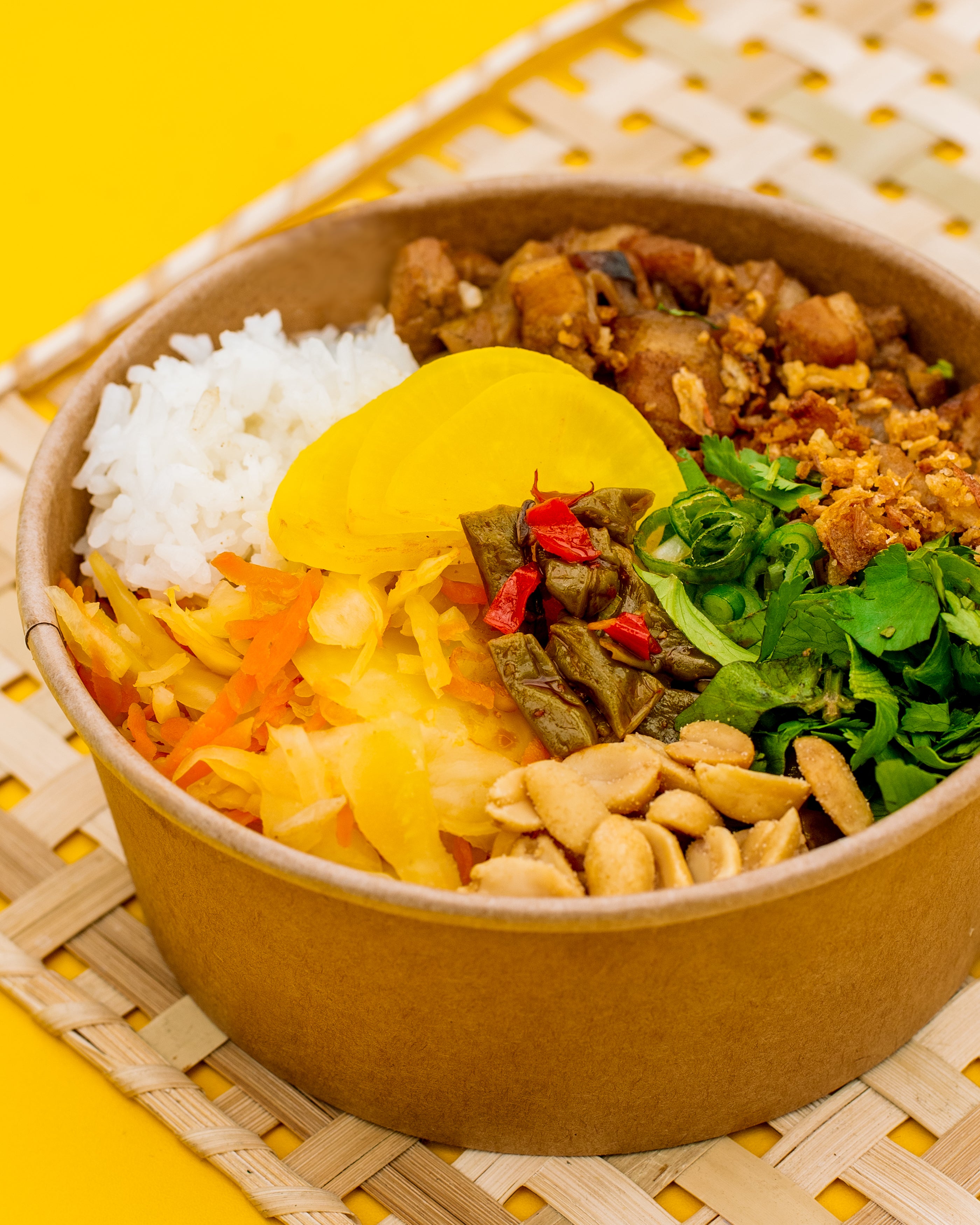 Pork and Chicken Combo 卤肉鸡腿饭