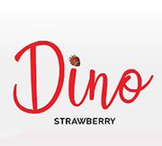 Dino