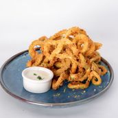 Zucchini Fries