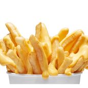 Loaded Fries 