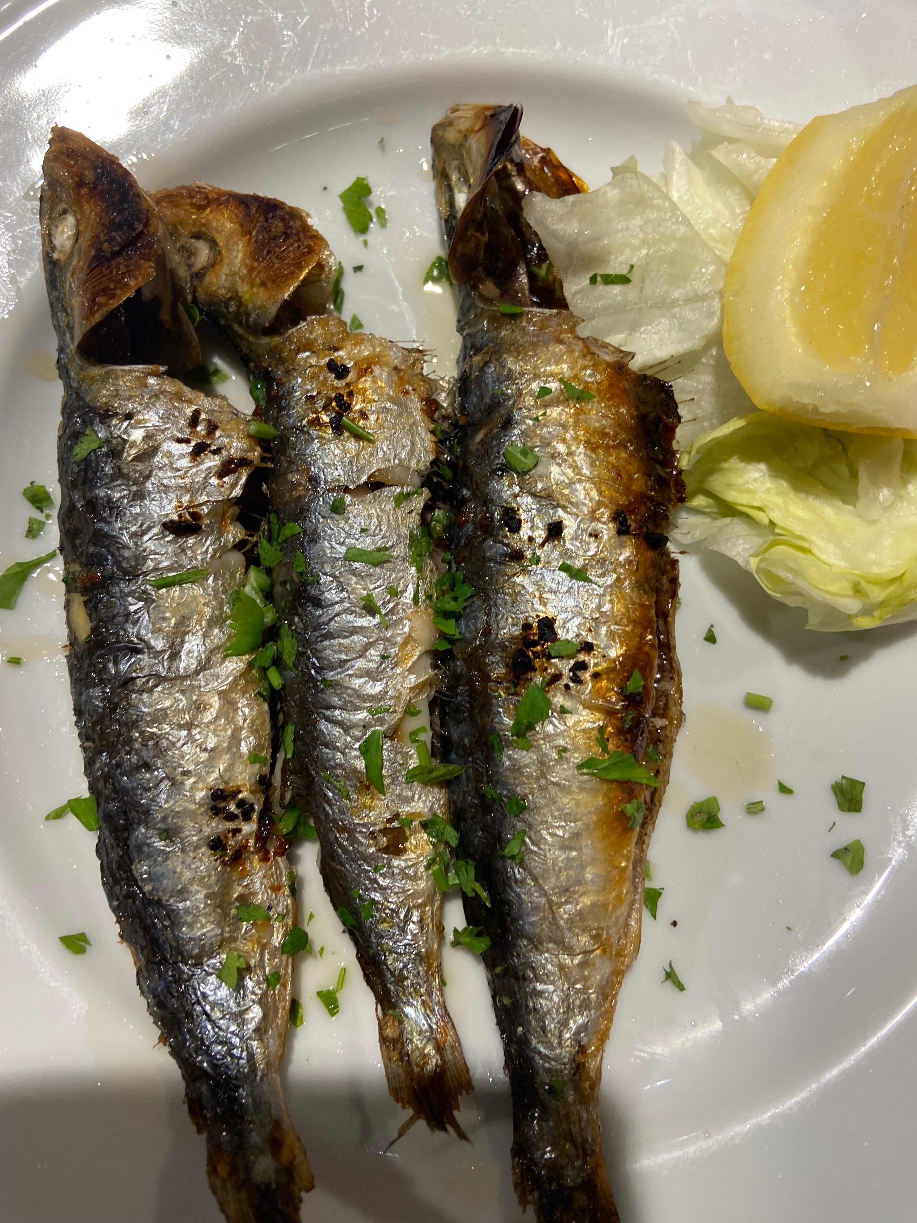 Sardine alla Griglia