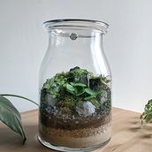 The Milk Jar