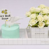 Get Well 3